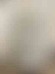 e1f54d_cdb8ec9bba4645b49f39d5281350ec00~mv2.jpg