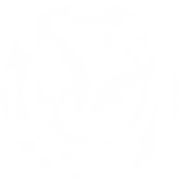 grand-master.webp