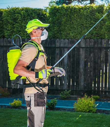 garden-insecticide-by-spraying-2025-03-14-22-47-03-utc