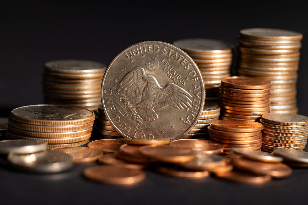 still-life-dollar-coins-piles.jpg