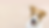 banner-of-a-happy-smiling-puppy-pet-dog (1) (1).png