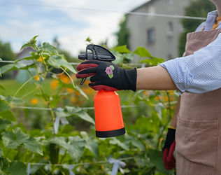 sprays-for-cucumber-plants-against-parasites-and-d-2025-03-11-02-39-08-utc.jpg
