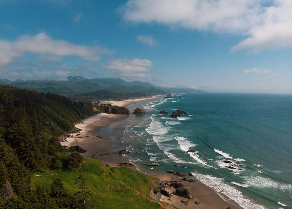 oregon bg.jpg