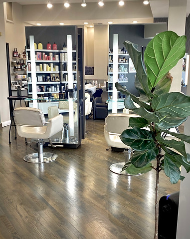 salon