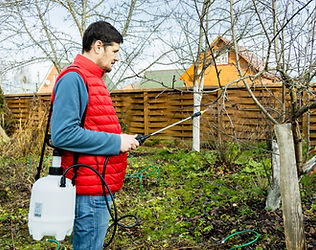spraying-fruit-trees-with-a-pump-sprayer-with-inse-2025-02-18-22-10-38-utc.jpg