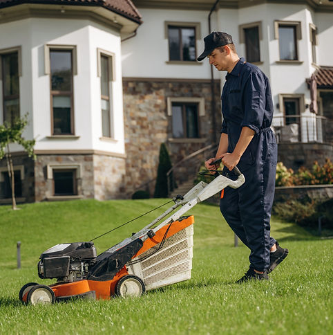 side-view-with-lawn-mover-professional-gardener-2025-03-18-20-57-18-utc.JPG