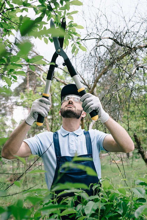 selective-focus-of-attentive-gardener-in-protectiv-2024-11-18-12-09-42-utc.jpg