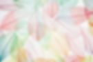 multicolor-transparent-leaves-of-the-skeleton-wit-2025-02-12-11-20-50-utc (1).jpg