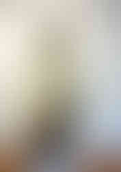 e1f54d_11c535b37c4447479b4b42eef22333c6~mv2.jpg