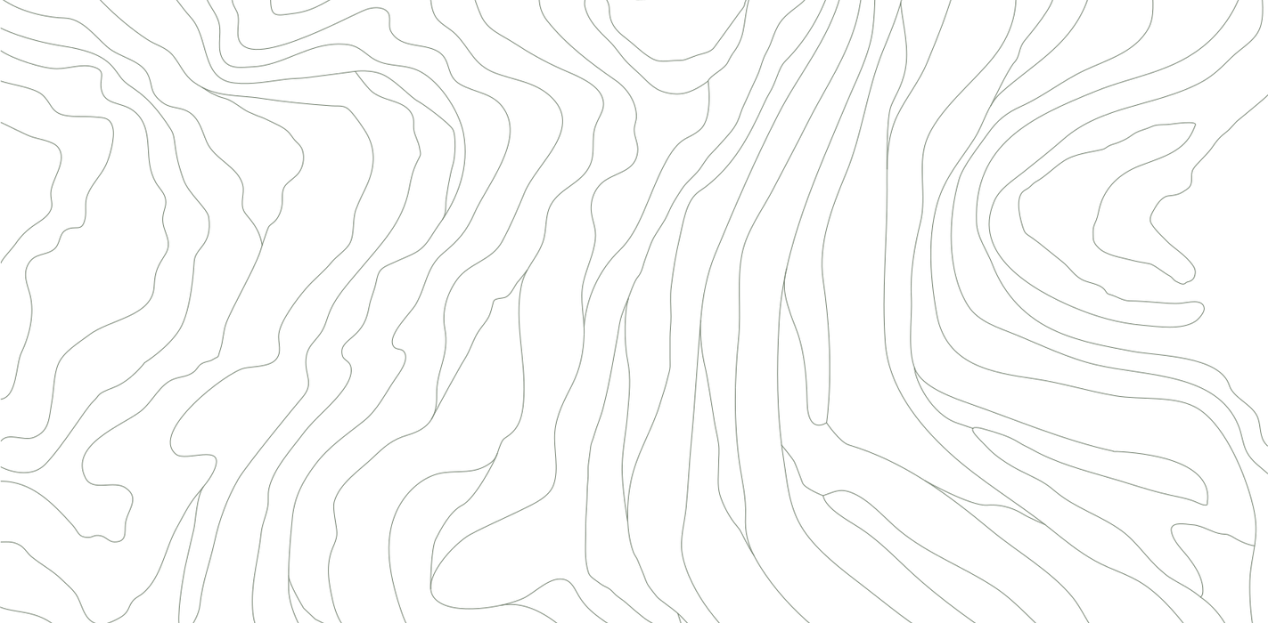 9053ac_a5371f69f19d43e9b56b48410ff21584~mv2.webp