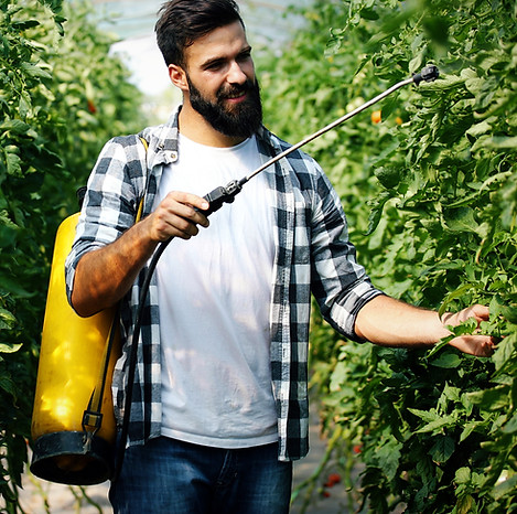 young-farmer-protecting-his-plants-with-chemicals-2025-03-14-20-04-36-utc