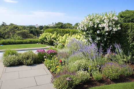 Maintenance & Upkeep 2 RoseofSharon.png