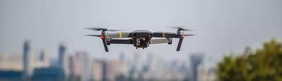 Mavic.avif