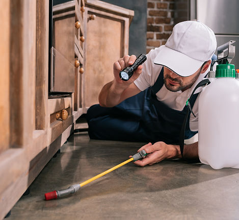 pest-control-worker-lying-on-floor-and-spraying-pe-2024-11-17-16-37-59-utc