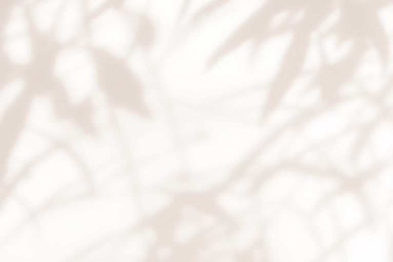 brown-shadow-of-olive-tree-plant-on-the-wall-sunl-2025-04-22-02-29-33-utc.jpg