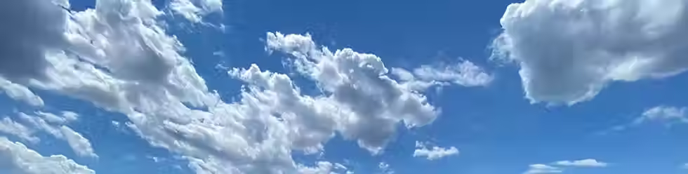 f096c2_8b111019e2404406b79a7960b1a957dd~mv2.avif