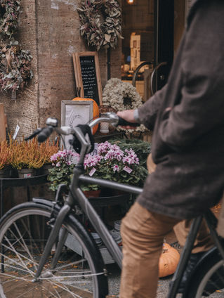 Novembers nyhetsbrev