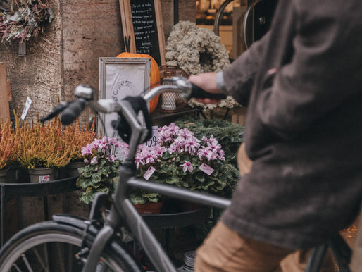 Novembers nyhetsbrev