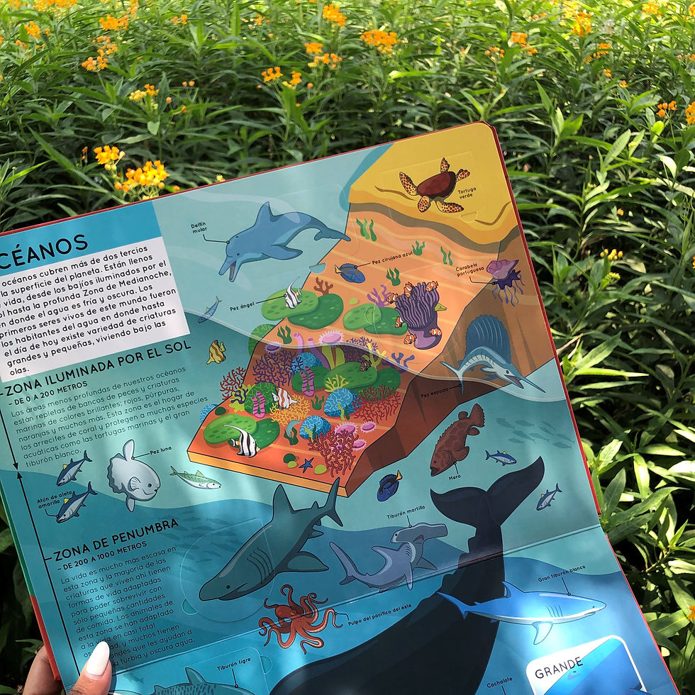 Miniatura: Los animales - Libro con solapa