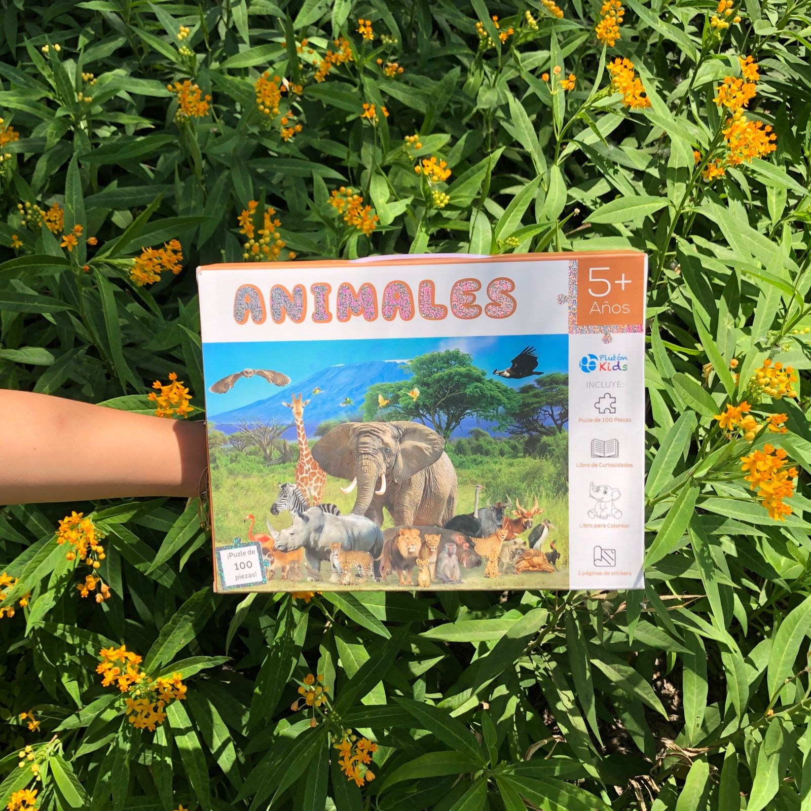 Animales - Puzzle y Actividades