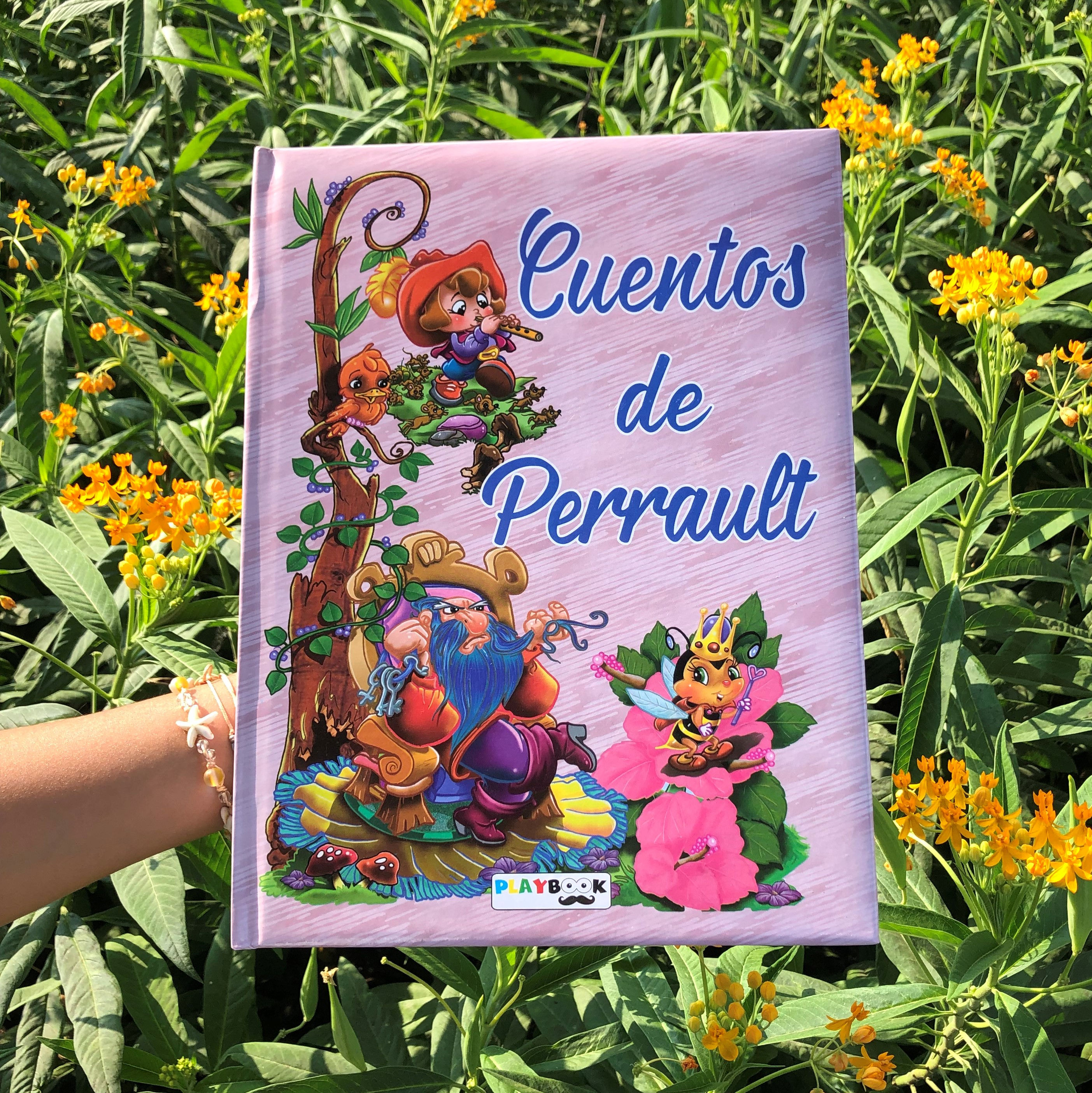 Cuentos de Perrault de PlayBook