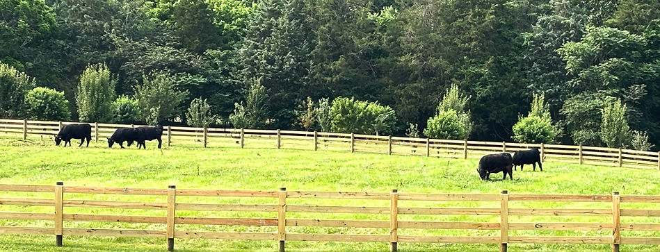 Pure farm pictures_edited.jpg