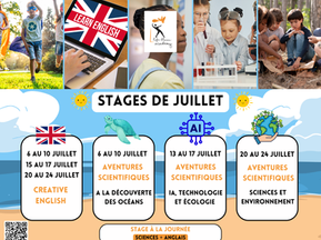 Un été qui change tout : les stages éducatifs de juillet chez Life Bloom Academy