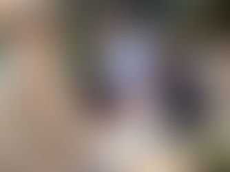 La pédagogie de projet et les classes ouvertes : apprendre autrement