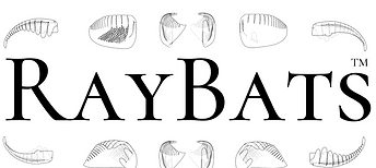 RayBatsTM.png
