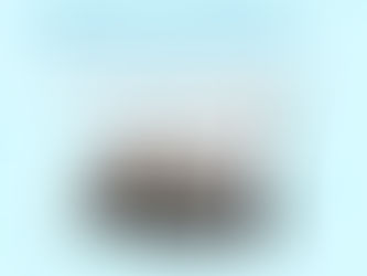 «Багаторічна програма стійкості» – освіта не може чекати