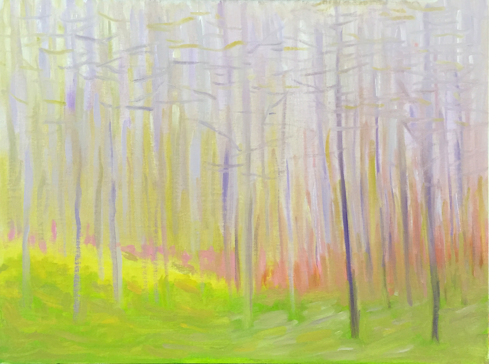 Wolf Woods