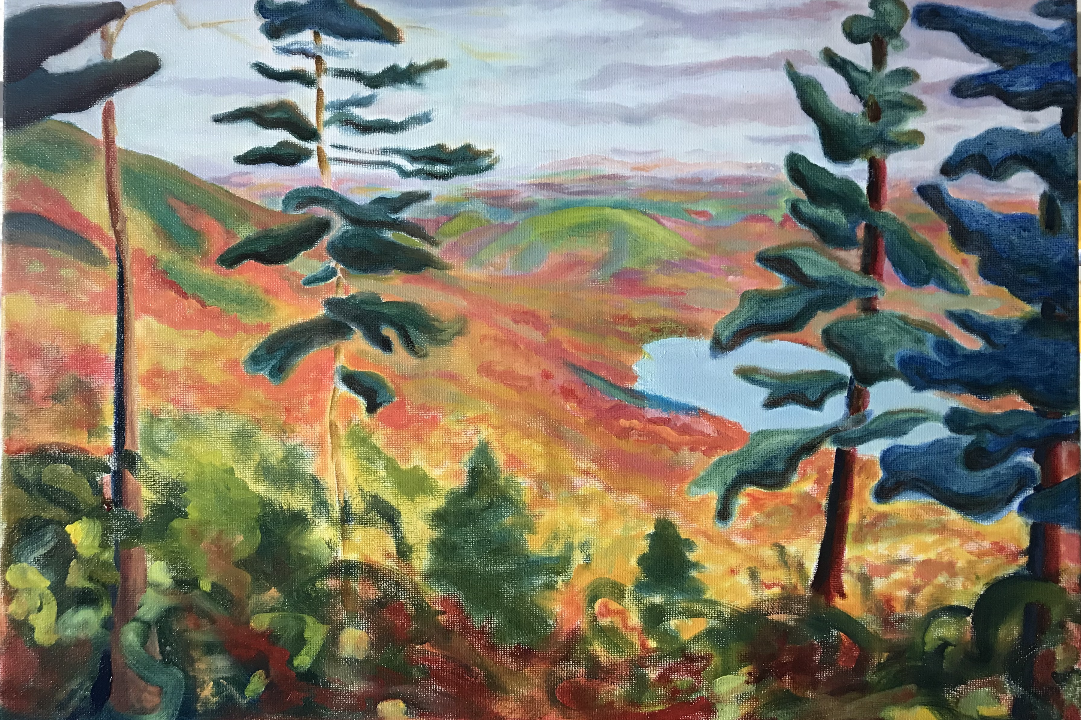 The Notch