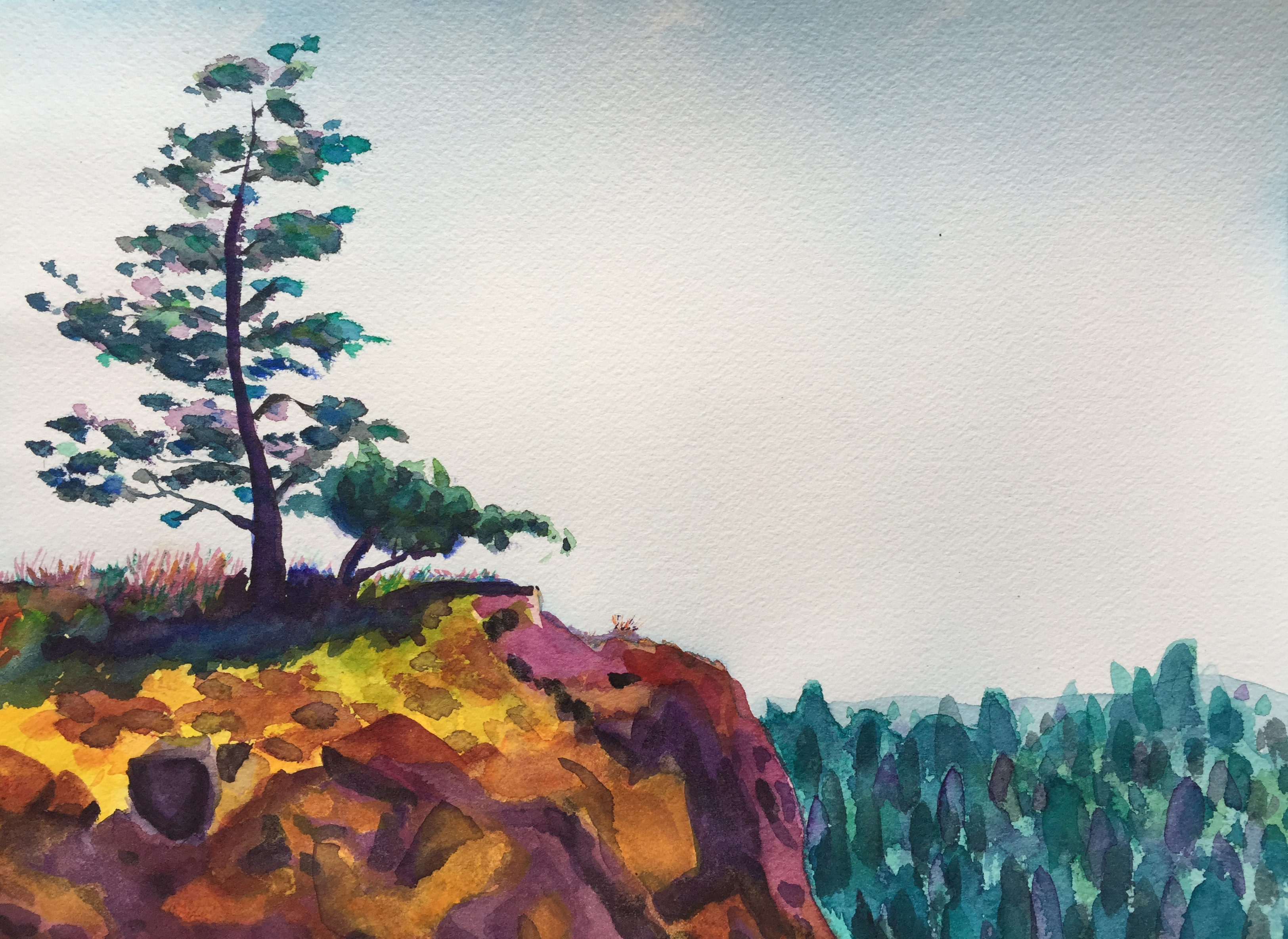 Lone Tree, Jackson Hole, Wyoming