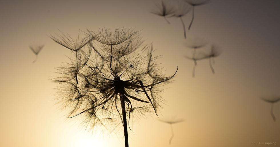 Sometimes the roles we hold change before we realise how much of our lives have grown around them.