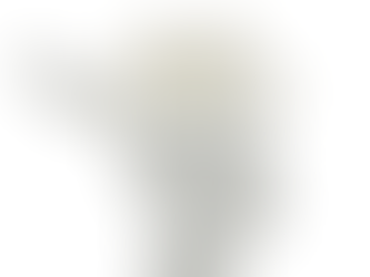 Illustration of a woman’s head with flowers growing, symbolising self-reflection and finding your own voice after people-pleasing