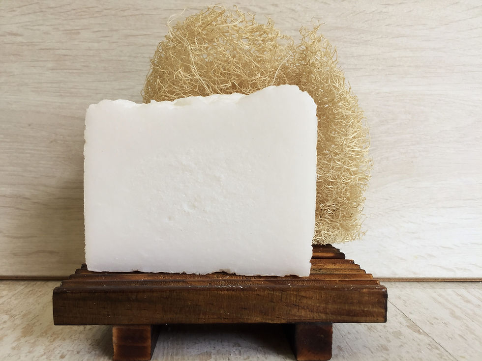 תמונה ממוזערת: סבון מוצק לניקוי אפס פסולת