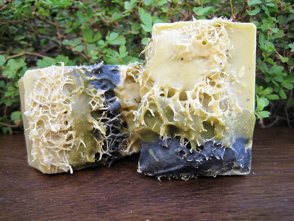 Miniaturbild: Lipa Rosmarin Nelkenseife