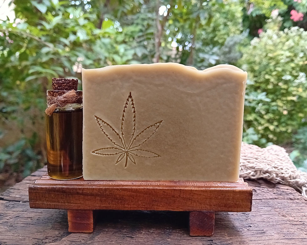 תמונה ממוזערת: שמפו מוצק המפ וחימר רסול