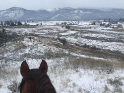 20 acres