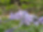 PXL_20240426_205645225.jpg