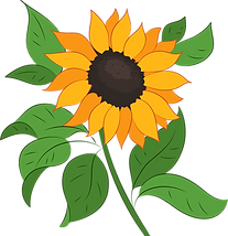 sunflower-clipart-md.png