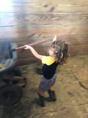 Ocala Horseback riding Center Hands-on Horse Care Workshop for ages 6+.  Learn how to take care of a horse. 