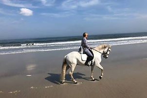 Ocean horseback riding at Diamond Oaks Ranch Hotel