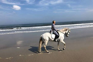 Ocean horseback riding at Diamond Oaks Ranch Hotel
