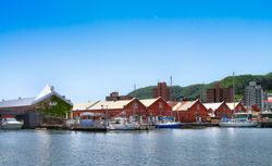 IMG_8793-Edit