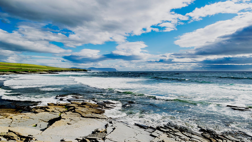 OrkneyBeech.jpeg