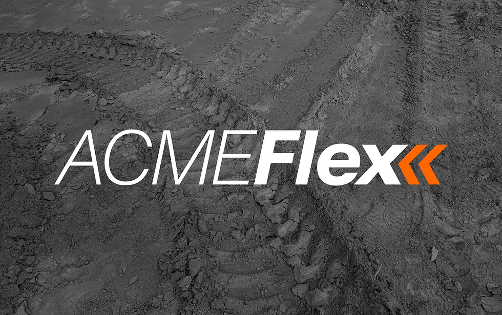 ACMEFlex Logo