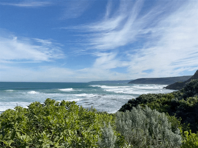 IMG_0535.gif