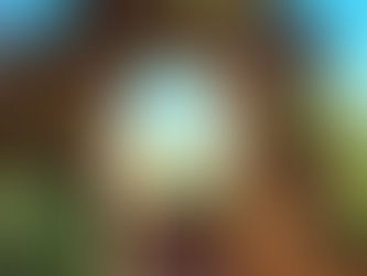 Ruines du vieux village de Ternand