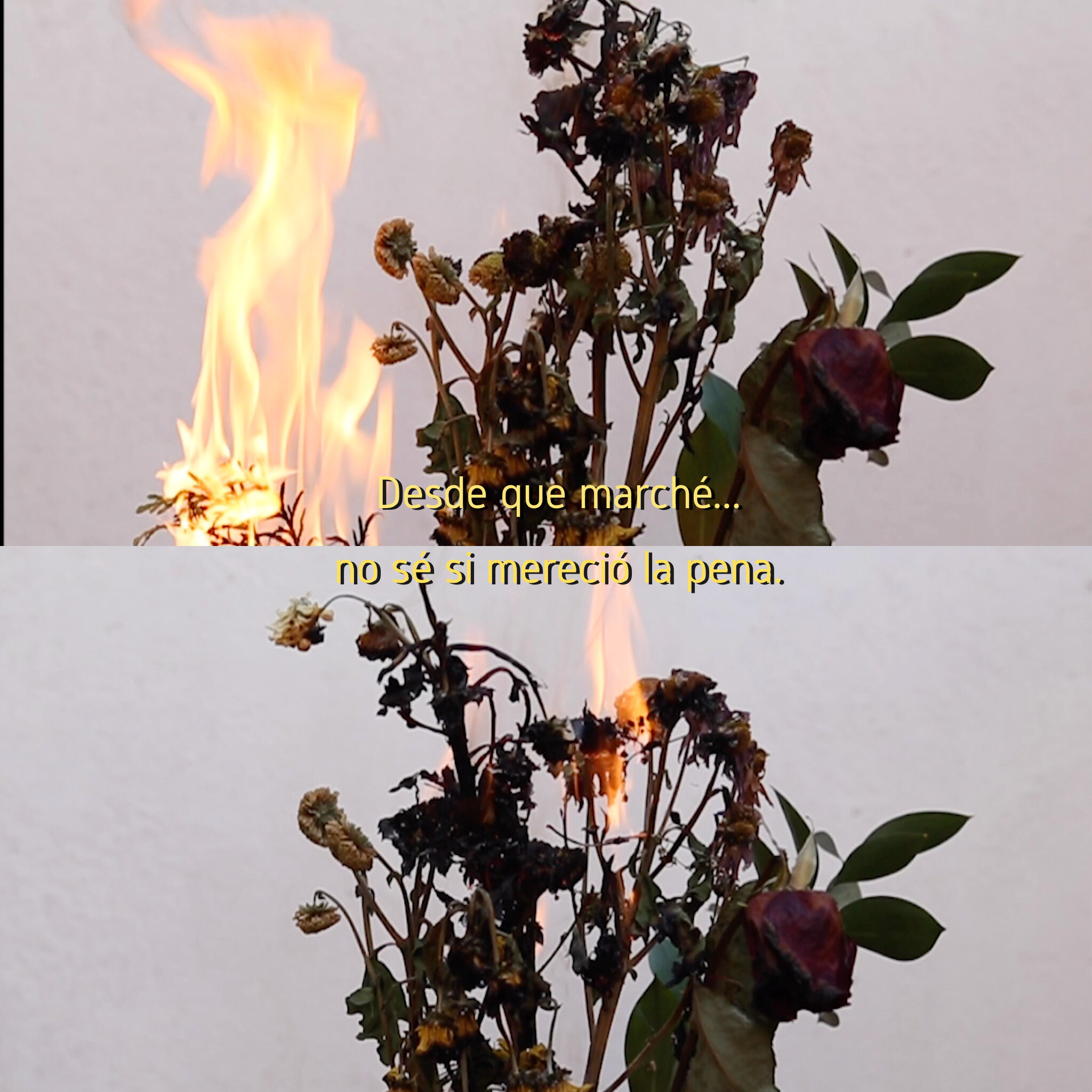 ME FASCINAS - MADDY BEYTON